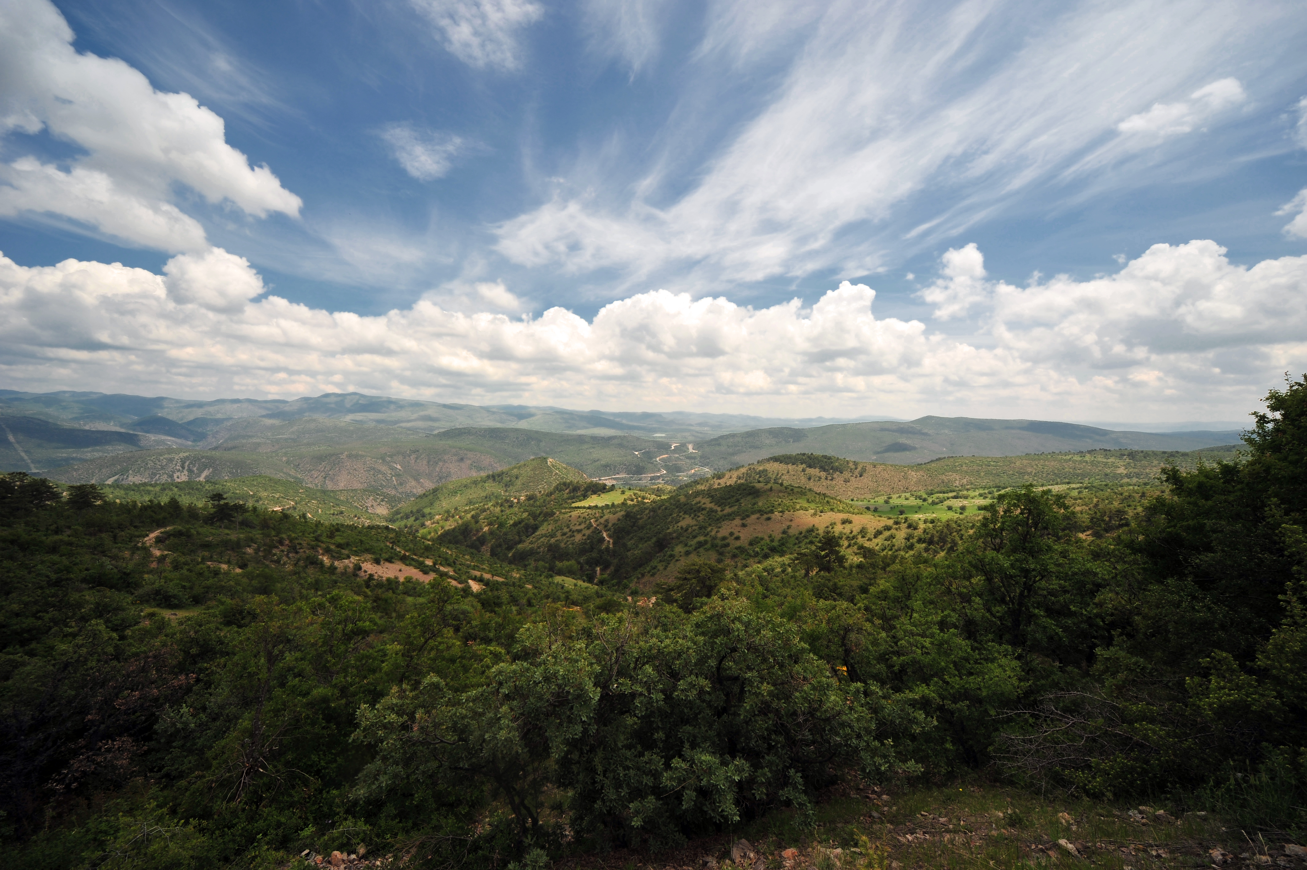 Kızılcahamam Ormanları