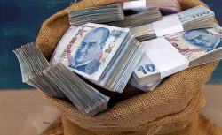 Hayvancılık destekleri başladı! Ödemeler yapılıyor